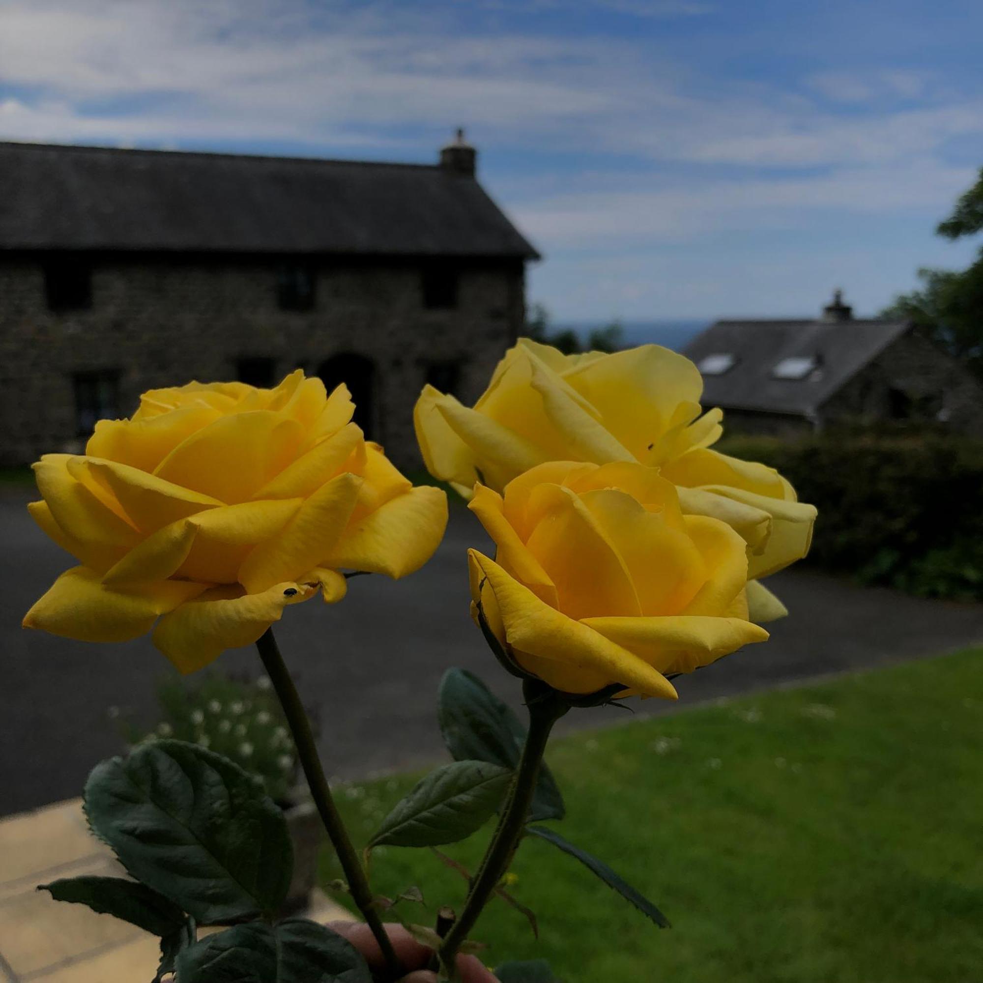 The Old Farmhouse B&B Dyffryn Ardudwy Bagian luar foto