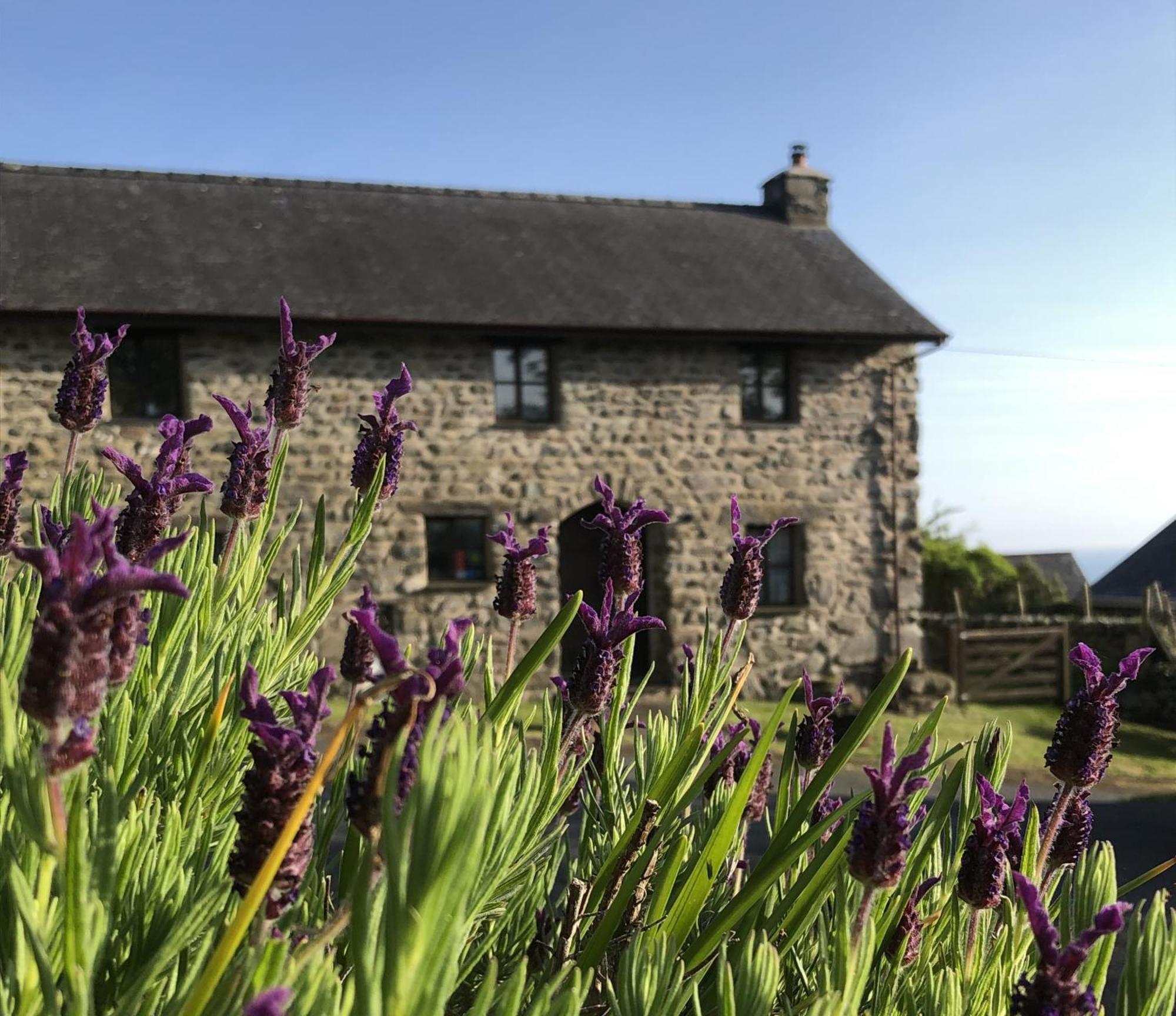 The Old Farmhouse B&B Dyffryn Ardudwy Bagian luar foto